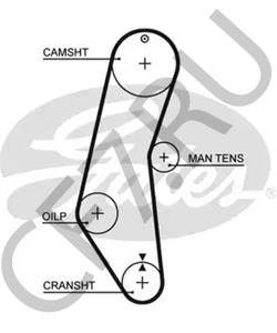5889247 Ремень ГРМ INNOCENTI в городе Краснодар