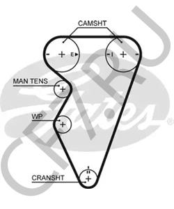 GTB9003XS Ремень ГРМ MG в городе Краснодар