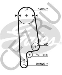 GTB2005XS Ремень ГРМ MG в городе Краснодар