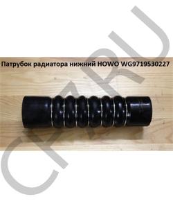 WG9719530227 Патрубок радиатора нижний  HOWO в городе Краснодар