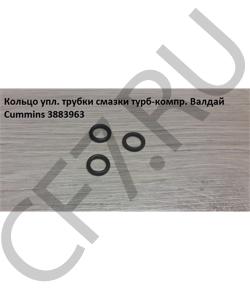 3922794 Кольцо упл. трубки смазки турб-компр. Валдай Cummins CUMMINS FOTON в городе Краснодар