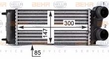 CITROËN/PEUGEOT Интеркулер